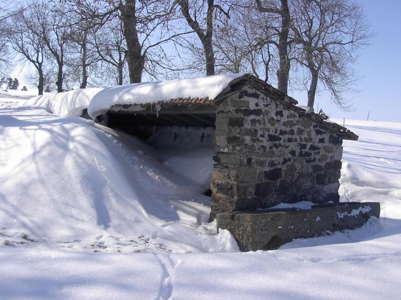 Maison De Famille Au Plateau Du Mezenc Les Vastres エクステリア 写真